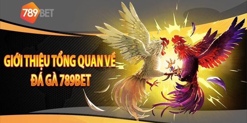 Tổng quan về đá gà 789bet